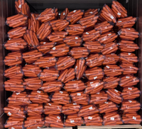 Carottes fraîches de qualité supérieure, carton de 10 kg, tailles S, M, L, norme d'exportation