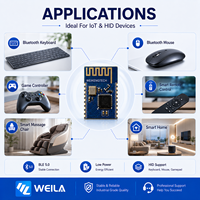 Module de contrôle sans fil BLE ODM, modules sans fil BLE 5.0 avec certifications FCC, IC, CE, Telec, KC, SRRC pour appareils IoT de maison intelligente