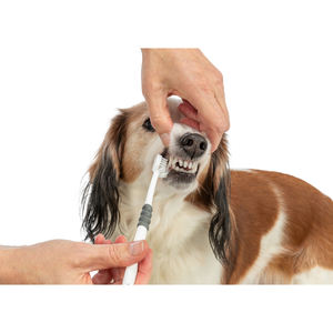 Cepillo de Dientes Trixie de 18 cm Blanco Gris para Limpieza de Mascotas - Product Image 4