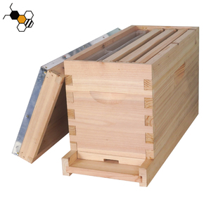 Ruche à 5 cadres pour abeilles, boîtes à noyaux complètes pour Langstroth - Product Image 3