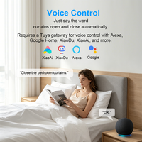 Ouvre-rideau intelligent WiFi Tuya, moteur électrique automatique, commande vocale, compatible avec Alexa et Google Home, pour salon moderne, bureau