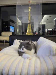 Cama ortopédica impermeable para perros grandes, sofá de espuma para huevos con lados altos y soporte para la espalda, cama antideslizante para mascotas - Product Image 6