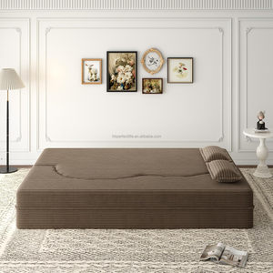 Sofá Cama Reclinable Extensible Tapizado en Tela Moderna y Económica, Convertible, Plegable, Ecológico, de Lujo, para Villa, Escuela, Oficina, Sala de Estar - Product Image 1