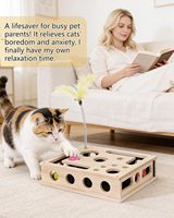 Jouet interactif en bois pour chat, idéal pour l'intérieur, avec lime à griffes, balles à gratter et baguette à plumes – Vente en gros