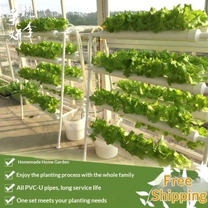 อุปกรณ์ปลูกผักไฮโดรโปนิกส์แบบระเบียงบ้าน ปลูกแบบไร้ดิน ปลูกผักสลัด ผักกวางตุ้ง ผักใบเขียว แบบสองด้านแปดหลอด อัตโนมัติ - Product Image 2