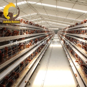 Gabbia della batteria della gabbia dello strato del pollo di alta qualità di Jinmuren per il progetto di allevamento di pollame - Product Image 6