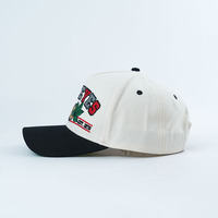 Casquette de baseball personnalisée à visière incurvée en tissu de coton bicolore, 5 panneaux, pour activités de plein air et sport