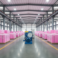 Nueva Línea de Producción de XPS con CO2 para Máquina de Extrusión de Tableros de Aislamiento Térmico XPS de Calidad Premium