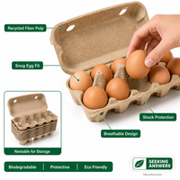 Vente directe d'usine, cartons à œufs biodégradables en pulpe de qualité alimentaire, écologiques, 10 et 12 pièces