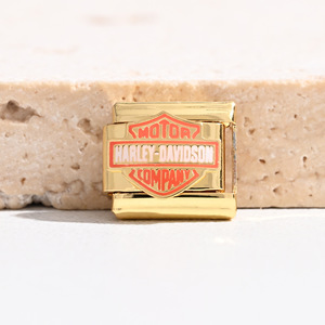 Pulsera Modular Italiana de Acero Inoxidable con Dijes de Corazón, Corona, Animales, Frutas, Letras y Comida, Accesorio de Regalo Unisex - Product Image 4