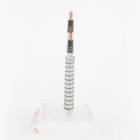 Câble de pompe submersible, isolation polyimide/fluorée, gaine NBR, acier inoxydable STA, câble d'alimentation