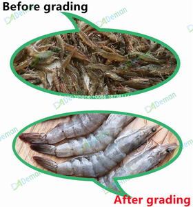 <span class=keywords><strong>Machine</strong></span> de triage électrique <span class=keywords><strong>à</strong></span> crevettes fruits de mer, mixeur de taille crevette avec lavage de <span class=keywords><strong>petite</strong></span> taille, saradine bakan, <span class=keywords><strong>machine</strong></span> de triage - Product Image 6