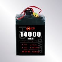 Литий-ионный 47,4 В 14000 мАч 12S высоковольтный Аккумулятор Li-Po производство твердотельный БПЛА с фиксированным ветром