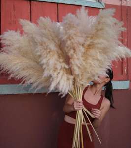 E-3107 Decorazione di Cerimonia Nuziale Del Fiore Conservato Naturale Pieno Pampas Erba - Product Image 5