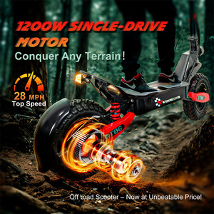 Trottinette électrique tout-terrain 750W, couple élevé, 48V 13Ah, 45-50 KM/H, pneus sous vide de 11 pouces, double amortissement par ressort, trottinette pour adultes, 330 Lbs - Product Image 4