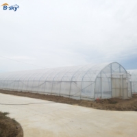 Système de ventilation pour serre agricole à une seule travée en film PE pour l'agriculture dans le désert, la culture hydroponique, à faible coût et à haut rendement