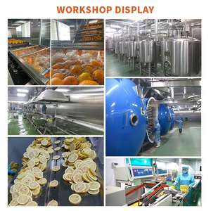 お手頃価格 フリーズドライ バルサムペアパウダー 100%ピュア カランチン ニガウリエキス粉末 オーガニック ニガウリパウダー - Product Image 6