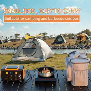 STW DC 24V double fer cuisinière électrique pour petits appareils de cuisine - Product Image 4