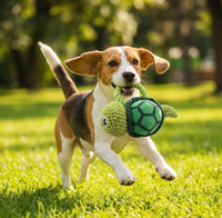 Hundespielzeug, Welpen-Kauspielzeug, Robustes Schildkröten-Spielzeug ohne Füllung für Starke Kauer, für Kleine, Mittlere und Große Hunde