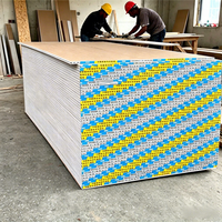 Panneau de plâtre à base de gypse pour plafond, neutre en carbone, certifié CE ASTM, panneau Bio Core