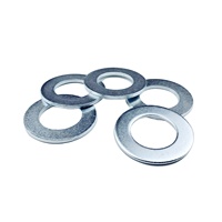 Factory Customized Stainless Steel 304 316 Galvanized Flat Washer DIN9021 M5 Flat Washer Plain Metal Washer