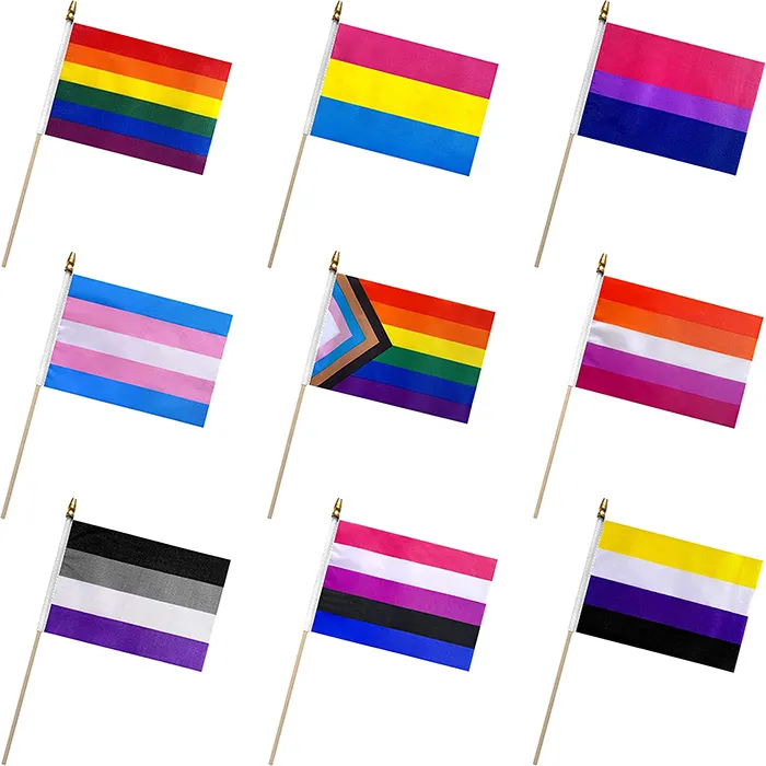 Sublimationsdruck Werbung benutzerdefinierte Größe Design Regenbogen handgehaltene Kunststoff Holz Mini-Flaggenstäbchen benutzerdefinierte LGBT-Veranstaltung Handflagge