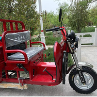 Mini moto à 3 roues de 150 cm3 avec moteur Loncin, 2 places, tricycle personnalisable pour la livraison de petites marchandises