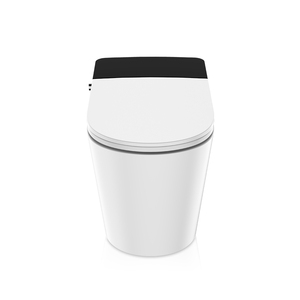 TEJJER Nuevo Inodoro Inteligente de Lujo de Una Pieza con LED Opcional, Conexión de Rociador, Set Completo, Taza y Bidé TA-960DF (Plata) con Rociador de Bidé Integrado - Product Image 2
