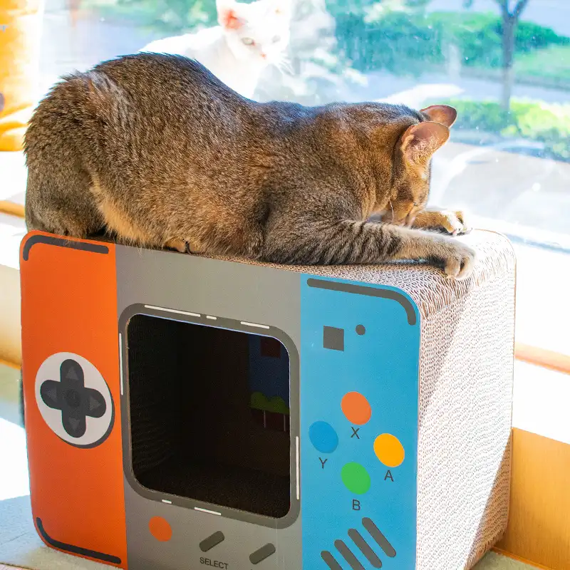 Instagram Celebrity Style Switch Gamer Em Forma de Papelão Ondulado Cat Scratcher Gato de Casa