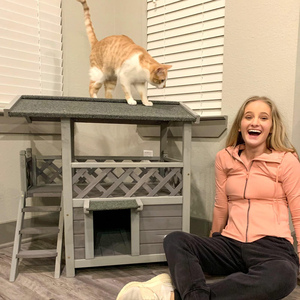 Rumah Hewan Peliharaan 2 Lantai Indoor/Outdoor Grosir Dengan Tangga Rumah Anjing Kayu Solid Rumah Kucing Indoor Mewah - Product Image 2