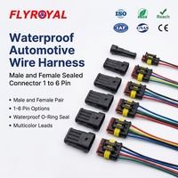 Conector Eléctrico Automotriz Sellado Impermeable Macho Hembra de 1, 2, 3, 4, 5, 6 Pines, Arnés de Cables, Conjunto de Cableado