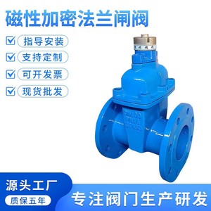 Vanne à opercule Senfm JMZ45X en fonte ductile à bride, joint souple, simple opercule, pour alimentation en eau avec fonction de verrouillage antivol - Product Image 5
