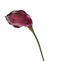 Bunga Buatan Mini Calla Plastik Lembut Model Gaun Alat Peraga Fotografi Bisnis Florikultura Bunga Buatan Pengantin Wanita