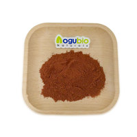Vente en gros d'extrait de safran de haute qualité Poudre de safranal Extrait de safran 0.3% Poudre de safranal