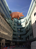 Ballon publicitaire gonflable en forme de cochon volant à l'hélium à vendre, jouet gonflable