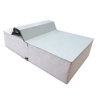 Prix d'usine Panneaux de stockage en chambre froide de 5cm d'épaisseur Isolation en polyuréthane Panneau sandwich modulaire en ciment Eps