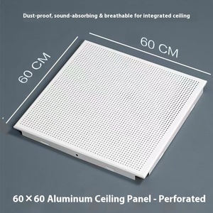 600x600mm Modern Anti-Static Fireproof Moisture-proof <strong>Aluminum</strong> Composite <strong>Panels</strong> Mould-proof Office Hotel Hospital Wholesale 5 - Product Image 2