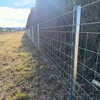 Rouleau de clôture agricole galvanisée à mailles graduées, hauteur 1,2 m, en fil d'acier tressé, pour l'élevage de moutons, chèvres, bovins et cerfs