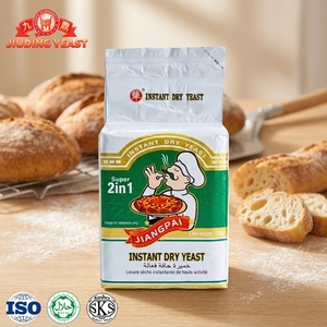 Levain <span class=keywords><strong>de</strong></span> <span class=keywords><strong>boulangerie</strong></span> multi-usages 500g, petit paquet, 20 sachets par carton, pour toutes les fermentations <span class=keywords><strong>de</strong></span> pâte, levain sec instantané 2 en <span class=keywords><strong>1</strong></span> - Product Image 1