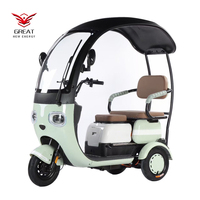 Tricycle domestique 800W, petit scooter à trois places, tricycle réglable pour 3 personnes