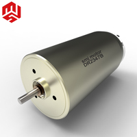 Mini moteur japonais à courant continu brossé et sans noyau, moteur Maxon 24V pour l'industrie des soins de santé