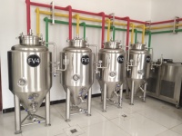 Mini équipement de brasserie tout-en-un 100L 200L 300L Système de brassage de bière nano avec caractéristiques de traitement de l'alcool