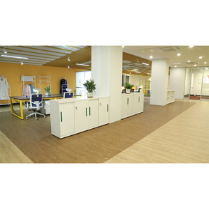 ICab dòng <span class=keywords><strong>slim</strong></span> đu cửa thép tủ hồ sơ - Product Image 5