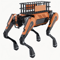 Robot quadrupède de transport robuste, charge utile de 40 kg, navigation autonome RXR-Q25Q