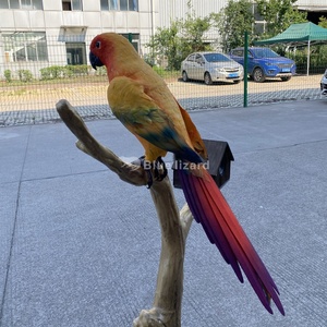 Animatronic Animal modelo realista Sun Conure loro escultura - Product Image 3