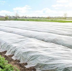 Spunbond không dệt chống UV vải cho vườn cảnh quan UV bảo vệ che phủ mặt đất cỏ dại hàng rào Rau vườn cắt - Product Image 3