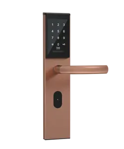 デジタル生体認証指紋ドアロックテミックカード木製部門カホンプラカードメタルドアロッカー