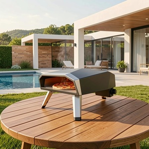 Four à pizza au gaz portable en acier inoxydable de 12 pouces, léger, pour barbecue en plein air, avec pieds pliables pour le camping et les pique-niques - Product Image 1