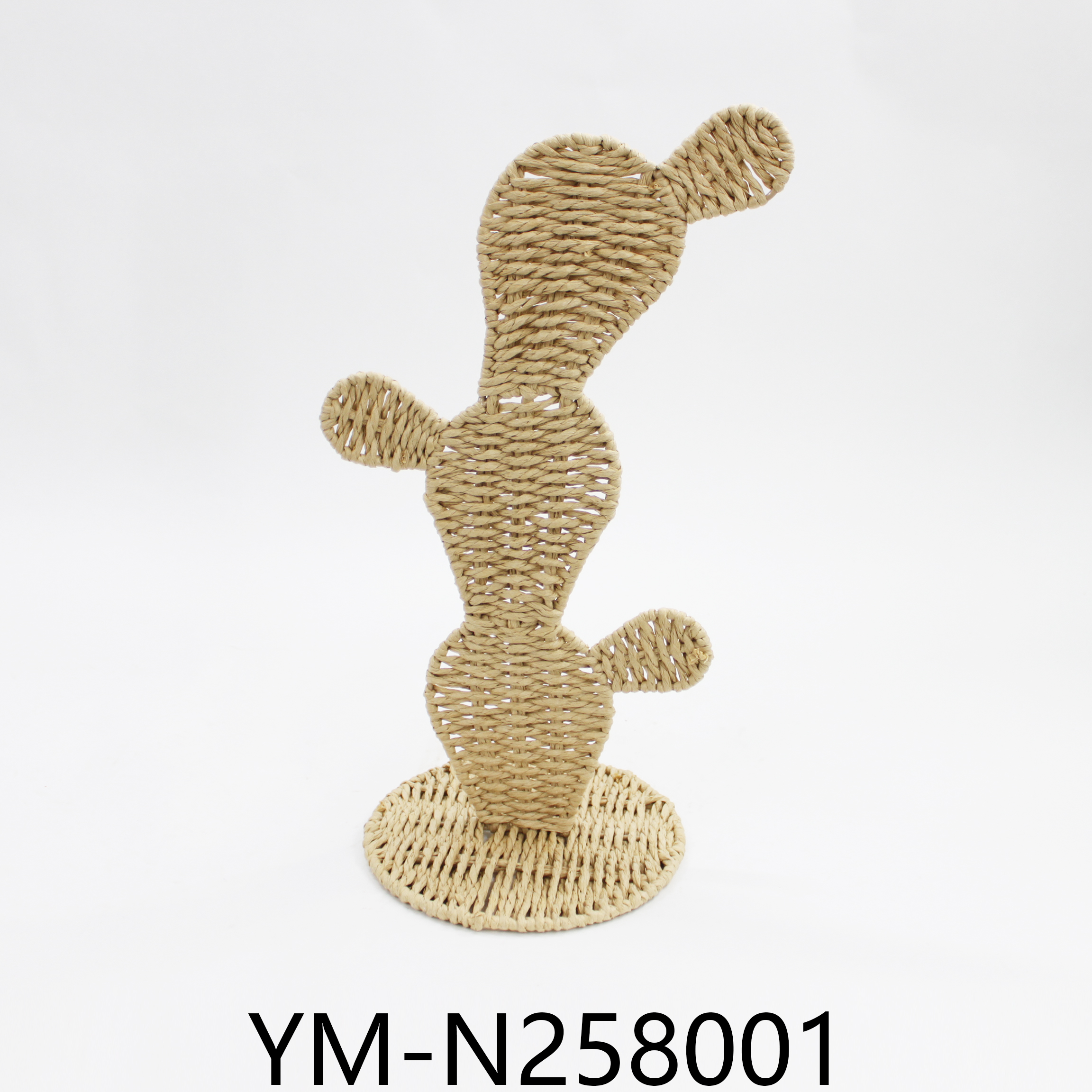 YM-N258001