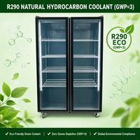 Réfrigérateur commercial à double porte vitrée pour boissons, avec ventilateur de refroidissement, vitrine verticale pour boissons avec éclairage LED pour supermarché